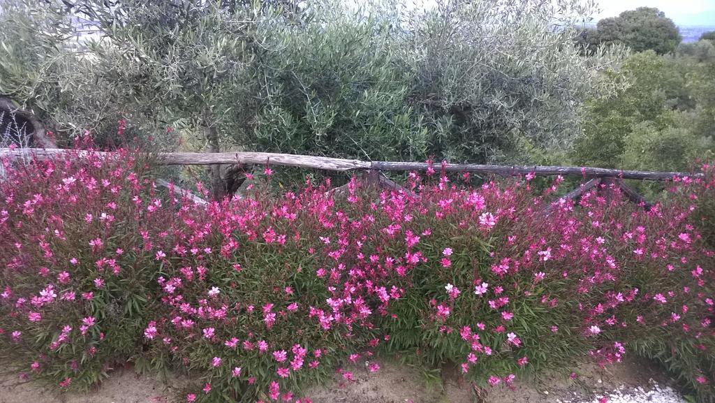 Piccolo Relais Galletto Di Marzo Spa E Relax Solo Per Due Paciano ภายนอก รูปภาพ
