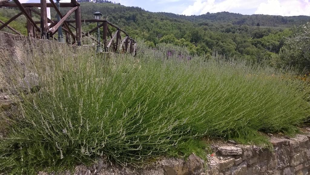 Piccolo Relais Galletto Di Marzo Spa E Relax Solo Per Due Paciano ภายนอก รูปภาพ