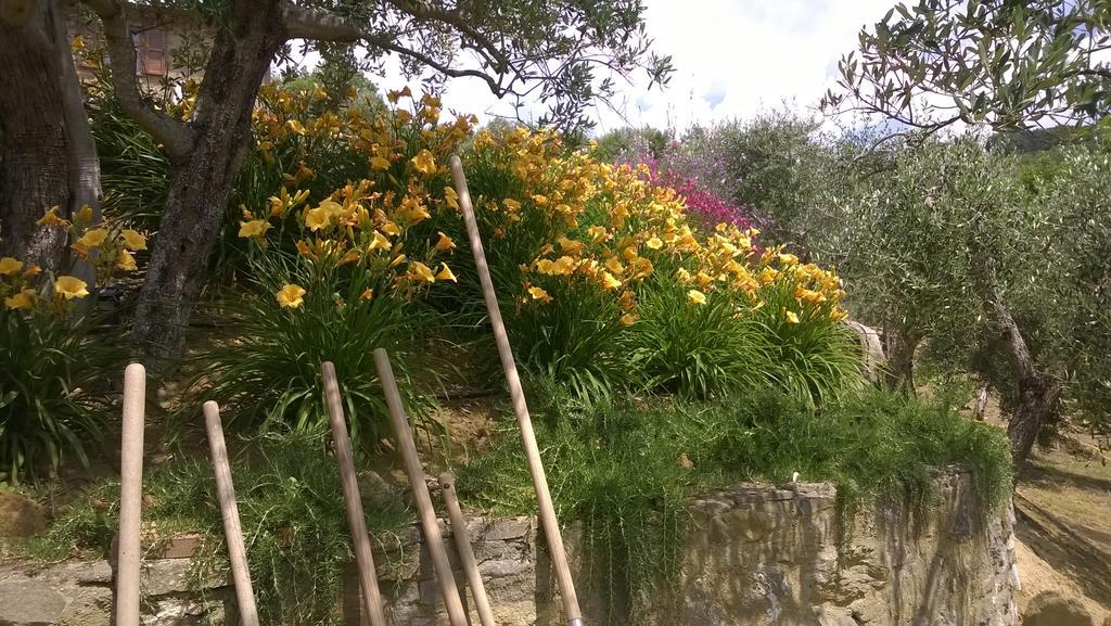 Piccolo Relais Galletto Di Marzo Spa E Relax Solo Per Due Paciano ภายนอก รูปภาพ