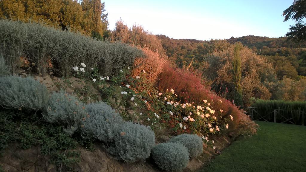 Piccolo Relais Galletto Di Marzo Spa E Relax Solo Per Due Paciano ภายนอก รูปภาพ