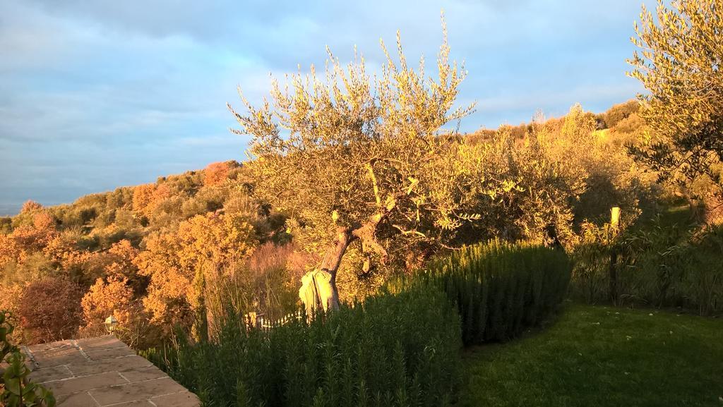 Piccolo Relais Galletto Di Marzo Spa E Relax Solo Per Due Paciano ภายนอก รูปภาพ